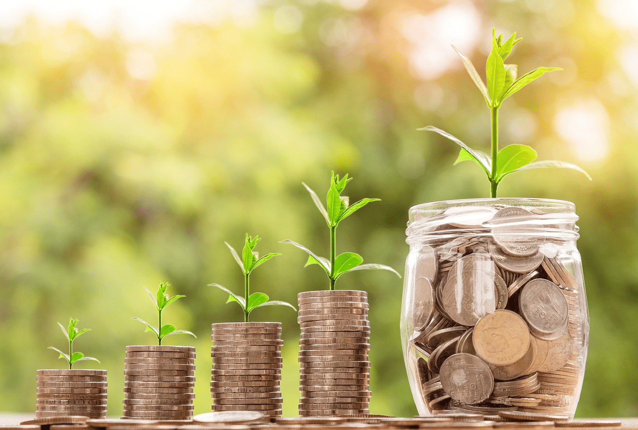 How to build business credit: Plants grow out of stacks of coins